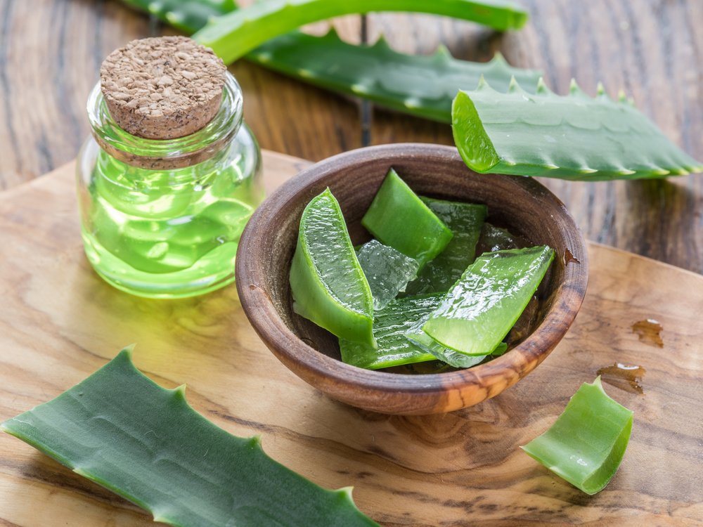 Aloe vera, o planta cu foarte multe beneficii