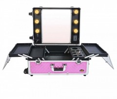 Statie Makeup HL0017P Roz